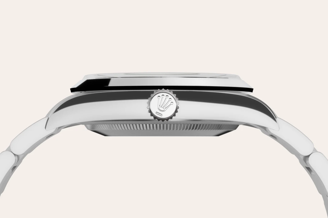 Rolex Oystersteel - Rolex Boutique Penang