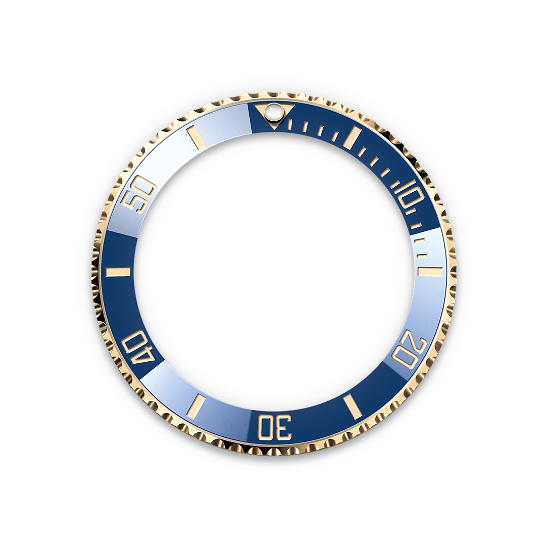 Rolex Unidirectional Rotatable Bezel - Rolex Boutique Penang