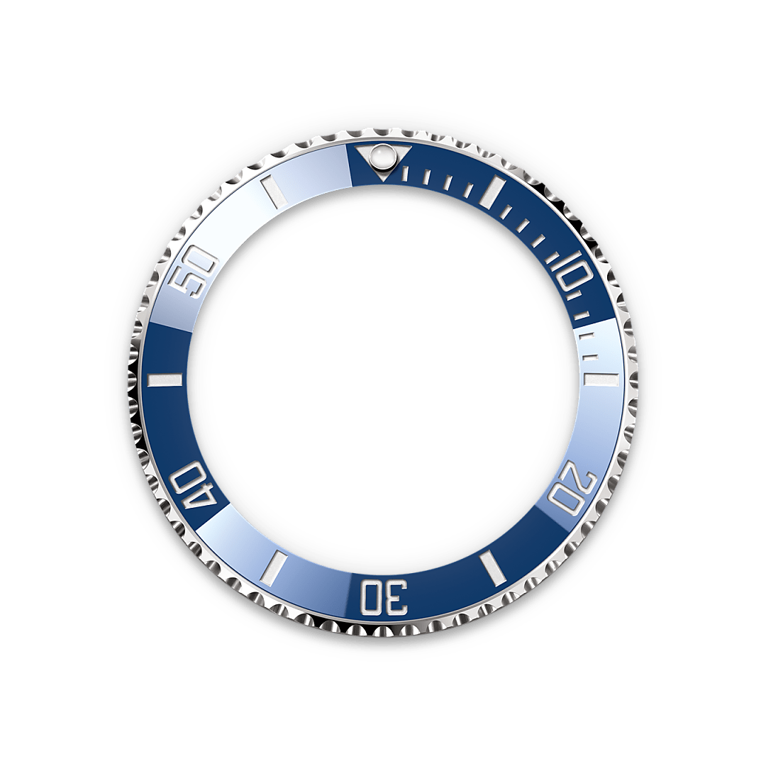 Rolex Unidirectional Rotatable Bezel - Rolex Boutique Penang