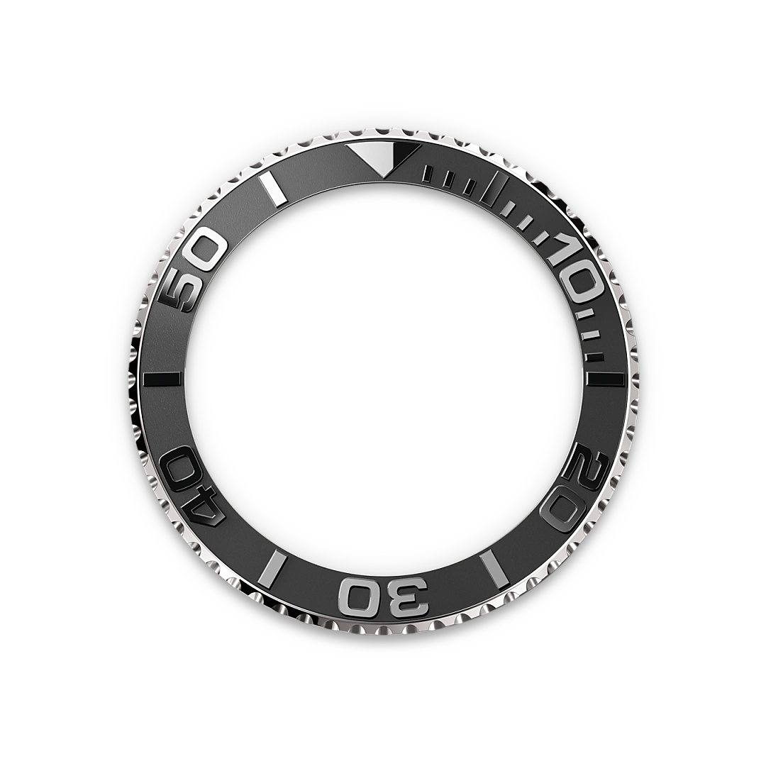 Rolex Bidirectional Rotatable Bezel - Rolex Boutique Penang