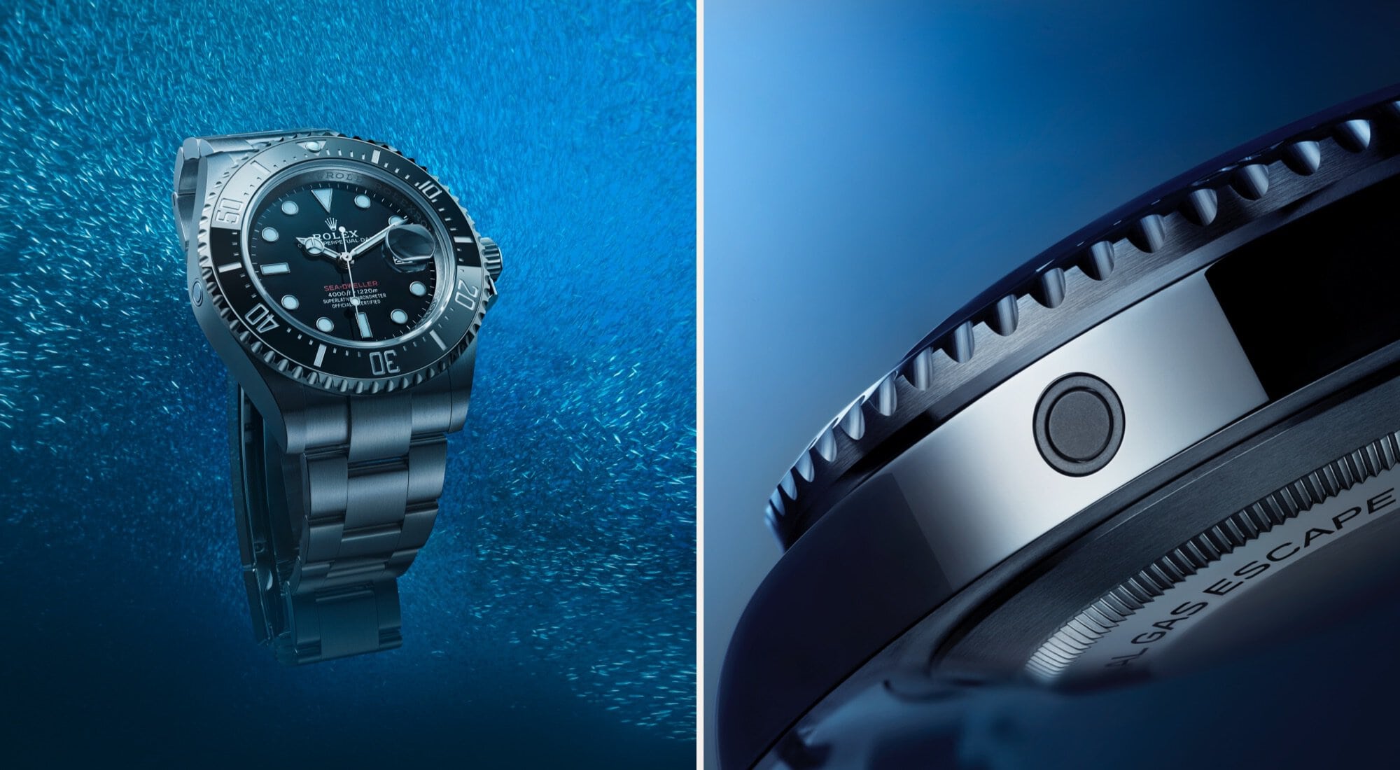 Rolex Sea-Dweller - Rolex Boutique Penang