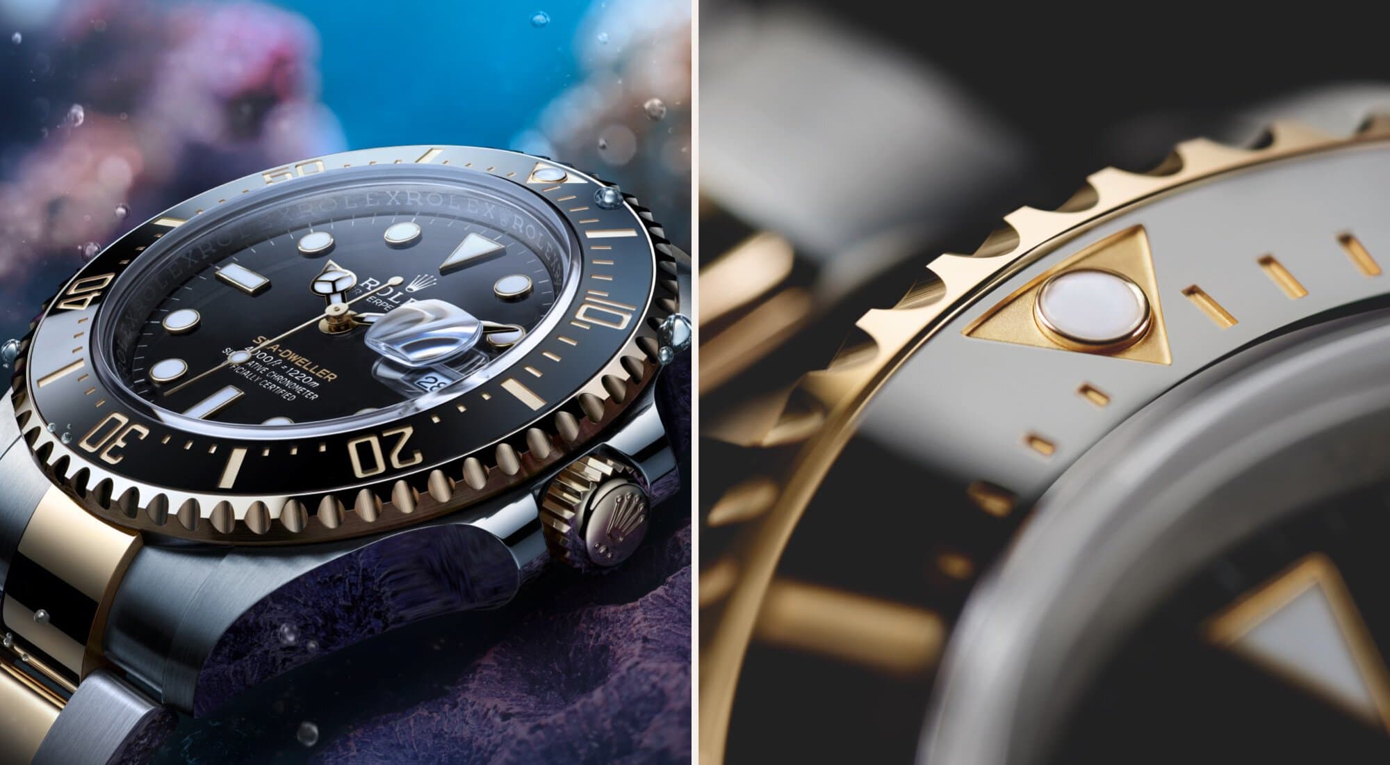 Rolex Sea-Dweller - Rolex Boutique Penang
